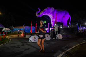 BIB: 
                            <button type="button" onclick="openModal(26552126)" class="btn btn-primary btn-sm float-right btn-popup" data-toggle="modal" data-target=".modal-high-quality">
                        <i class="fas fa-shopping-cart"></i> Add to Cart
                    </button>
                                            <button type="button" onclick="isThisMe(26552126, true)" class="btn btn-success btn-sm float-right btn-popup btn-isme hidden" data-toggle="tooltip" data-placement="bottom" title="นี่คือรูปของคุณใช่ไหม คลิกที่นี่เพื่อเอาเข้าอัลบั้ม">
                        <i class="fas fa-plus"></i> Add to album
                    </button>
                    <button type="button" onclick="isThisMe(26552126, false)" class="btn btn-warning btn-sm float-right btn-popup btn-isnotme hidden">
                        <i class="fas fa-ban"></i> Remove from album
                    </button>